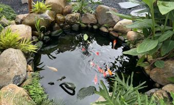 5. Xiamen S..