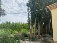 Pinshang Populus homestay