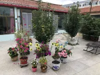 Liuji Family Hotel, Dolun