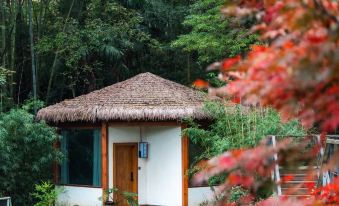 Qingcheng Mountain Just on the Stream · Mountain Stream Bamboo Forest Private Soup B&B