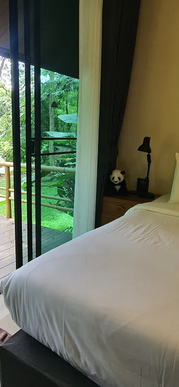 ห้องแพนด้า 2 ท่านริมแม่น้ำ