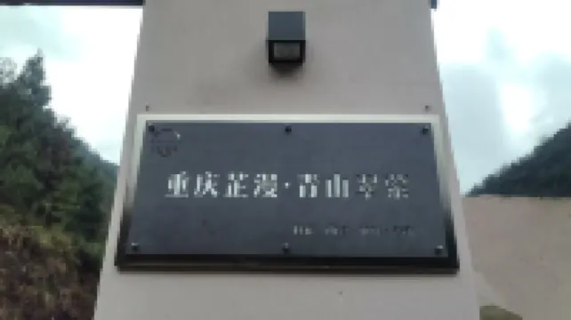 重慶芷漫青山翠縈酒店（金佛山店）