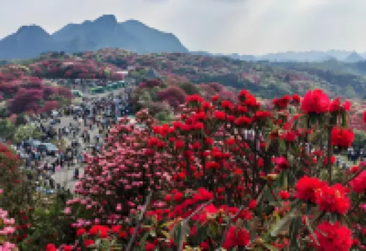 โรงแรมอะมอง ฟลาวเวอร์ส ชางห่าว