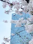 Mandarin Oriental Pudong Shanghai
