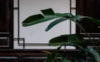 六如居（麗江古城南門店） - 小旅館