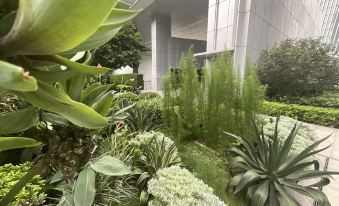 Kaili Executive Apartment