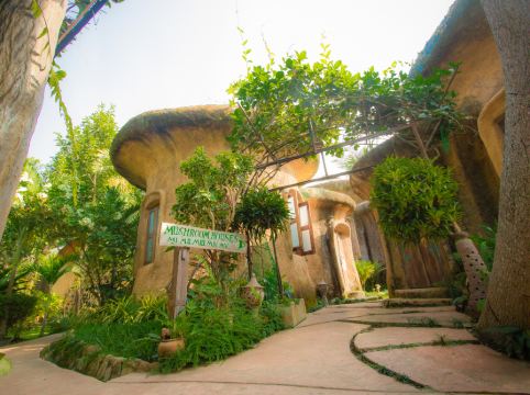 ลีฟฟี่กรีนส์