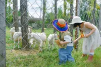 YAOJIA STRAW FARM RESORT ANJI - Lemmikkieläimet sallittu