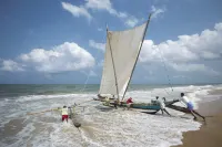 The Beach Apartments