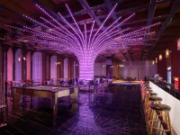 Radisson RED Dongguan BinHaiWan Bay Area