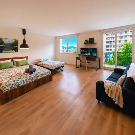 Bright Studio with Balcony, Tram 17, Gaillard, Geneva
