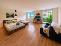 Bright Studio with Balcony, Tram 17, Gaillard, Geneva - Lemmikkieläimet sallittu