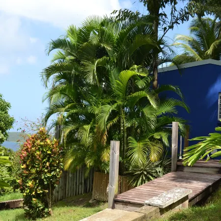 Habitation Pineau - Bungalow Azur with Private Jacuzzi