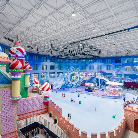 Linyi Qiyang Ice and Snow Kingdom Hotel (Polar Ocean World)