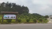 Anxin Homestay