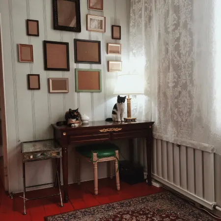 Kuleshov's house