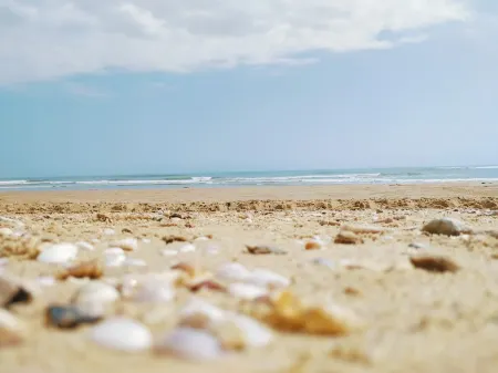 Haizhizhengtu Отели рядом с достопримечательностью «Jizhao Bay»