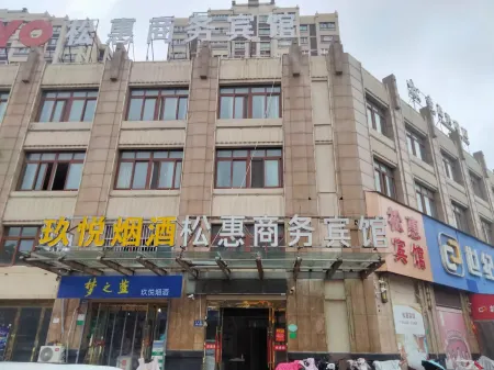 Xuzhou SONGHUI Bussiness Hotel Отели в г. Фэнсянь