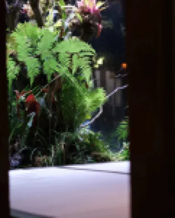 花築·賴在一起·親子度假·茶空間·設計師美宿（武夷山店）