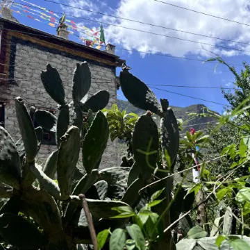 Danba Zhuoma's Homestay