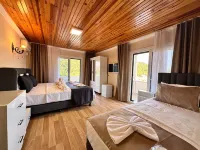 Olive Branch Hotel Hôtels à : Kucukkoy Belediyesi