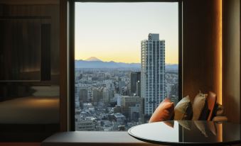 Hyatt Regency Tokyo