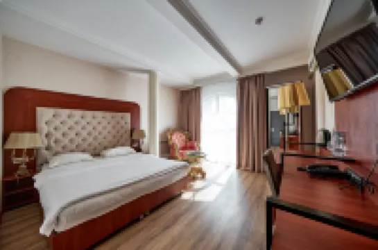 Vnukovo Village Park Hotel&Spa 住宿飯店