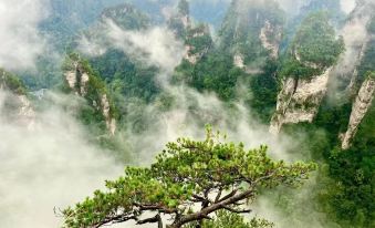 Mountain and Bamboo Holiday lnn{ZhangjiajieForest Park Store