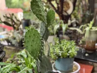 遵義•曦堯│ BIEYUAN•Artistic 侘寂藝術美學飯店（遵義會議會址店）