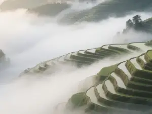 Longji Terraces의 인기 베스트 4성급 호텔