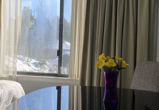 Sunshine Bay · Westside Homestay 거실