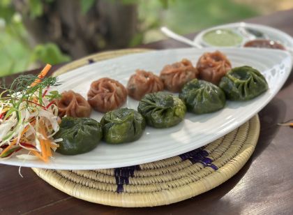 Lumbini Five Elements Hotel
