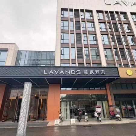 LAVANDS