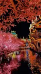 墨語·桃花閣|宋式美學民宿（萬歲山大宋武俠城店） - 寵物友善