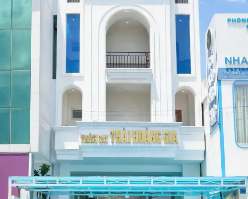 Thai Hoang Gia 求寺（Cau Temple）附近的飯店