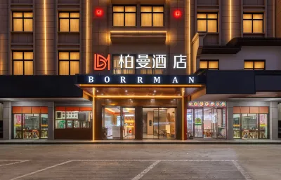 Borrman Hotel Hotels in 