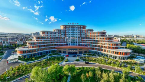 Saussurea Hotel in Karamay