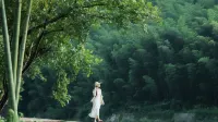 篁溪山舍·山川竹海·野奢智能·民宿（皖南川藏線月亮灣風景區店） - 무료 와이파이