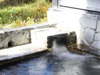 NEW STAR HOTEL YAMANAKAKO - Hot Springs
