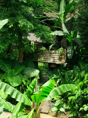 Rainforest Retreat Jingmai - Pools