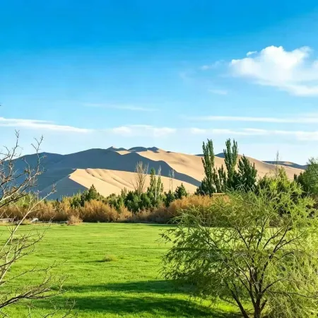 Moyue Moon Field Stargazing Pastoral Family Resort Homestay Dunhuang Mingsha Crescent Lake