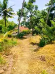Munroe Inn Homestay - internet