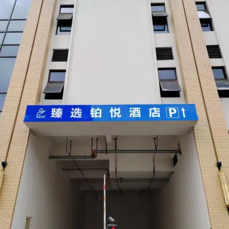 Selected Platinum Hyatt Hotel