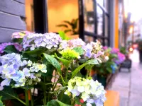 Zhenyuan Yutu Travel Homestay