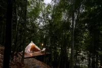 The Bamboo Holiday