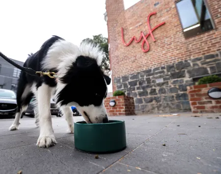 Lyf Collingwood Melbourne Отели рядом с достопримечательностью «Johnston Street»