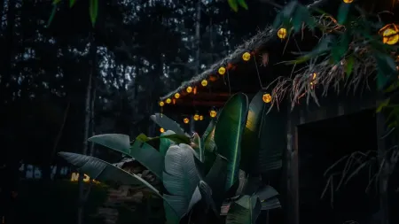 Hidden Cong Hotel Отели рядом с достопримечательностью «Yongjia Academy»