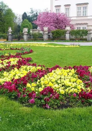 GreenTree Inn (Huangshan Qimen Museum) Отели в г. Цимэнь