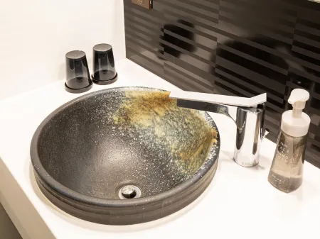 京都京阪八條口飯店