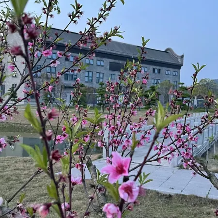 Hejiachong Yonghe Industry Business Center
